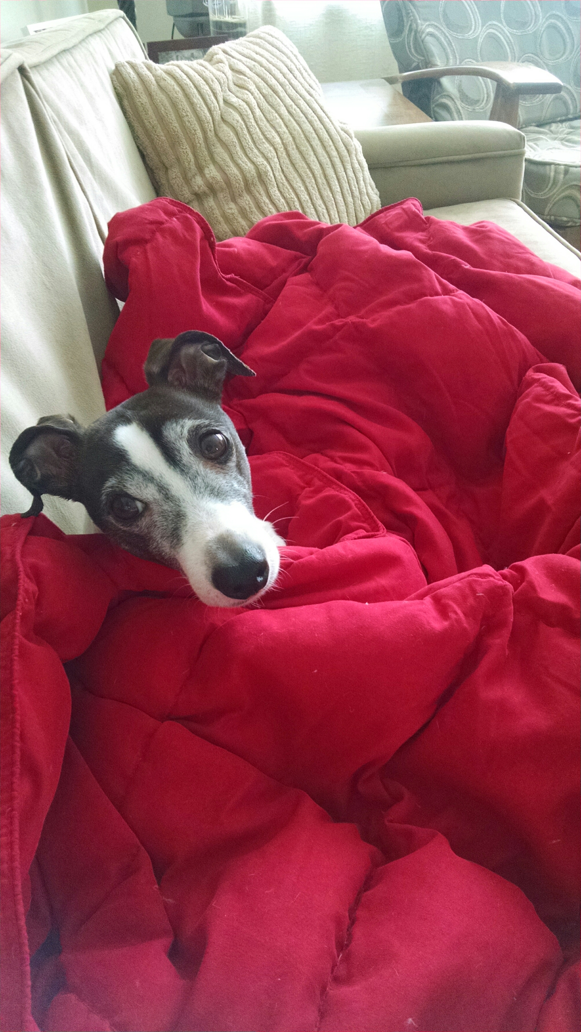 IMG_20150127_115700117.jpg image